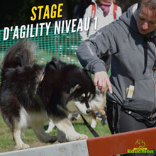 Charger l'image dans la galerie, Stage d'initiation à l'Agility proche de Paris en île-de-france Yvelines 78 sport canin Educhien formation education canine activité chien club canin educhien78