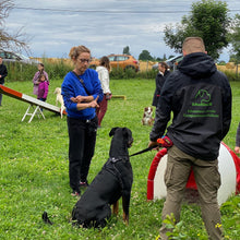 Charger l'image dans la galerie, alexis bonnarang educateur canin comportementaliste yvelines stages canins formation canine educhien formation 100% en ligne formation chiot education positive chien formation vidéo stage intensif education dressage educhien78 dresseur agility sport comportement chien france leader education canine