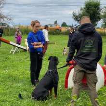 Charger l'image dans la galerie, alexis bonnarang educateur canin comportementaliste yvelines stages canins formation canine educhien formation 100% en ligne formation chiot education positive chien formation vidéo stage intensif education dressage educhien78 dresseur agility sport comportement chien france leader education canine