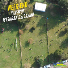 Charger l'image dans la galerie, stage formation canine canin ville club canin forêt Educhien78 education canine Educateur canin Alexis bonnarang Educhien formation stage intensif chien chiot fondamentaux de l'éducation sociabilisation du chien congénères Yvelines île-de-france 78 dressage comportementaliste canin educateur canin