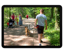 Charger l'image dans la galerie, alexis bonnarang educateur canin comportementaliste yvelines stages canins formation canine educhien formation 100% en ligne formation chiot education positive chien formation vidéo stage intensif education dressage educhien78 dresseur agility sport comportement chien france leader education canine Pack d'education chiot en ligne fiche mémo fiches de cours chien de famille