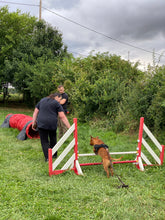 Charger l'image dans la galerie, Stage d'initiation à Agility / Session du samedi 28 septembre 2024