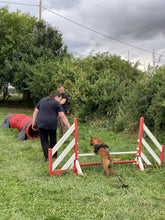 Charger l'image dans la galerie, Stage d'initiation à Agility / Session du samedi 17 mai 2025