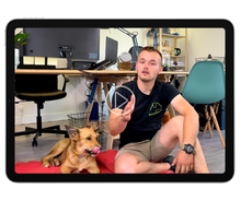 Charger l'image dans la galerie, FORMATION : L'éducation complète du chiot