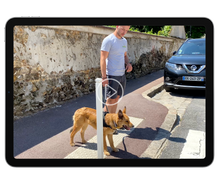 Charger l'image dans la galerie, alexis bonnarang educateur canin comportementaliste yvelines stages canins formation canine educhien formation 100% en ligne formation chiot education positive chien formation vidéo stage intensif education dressage educhien78 dresseur agility sport comportement chien france leader education canine Pack d'education chiot en ligne fiche mémo fiches de cours chien de famille