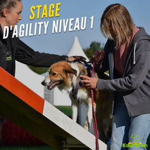 Charger l'image dans la galerie, Stage d'agility dog chien dog training Agility chien chiot Yvelines île-de-france 78 Educhien Educhien formation Educhien78 education canine Stage canin Formation canine Activités canines Sport canin