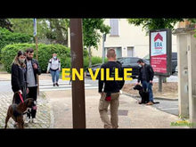 Charger et lire la vidéo dans la visionneuse de la Galerie, alexis bonnarang educateur canin comportementaliste yvelines stages canins formation canine educhien formation 100% en ligne formation chiot education positive chien formation vidéo stage intensif education dressage educhien78 dresseur comportement chien