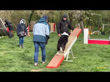 Charger et lire la vidéo dans la visionneuse de la Galerie, Stage d'initiation à Agility / Session du samedi 4 avril 2026