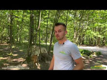 Charger et lire la vidéo dans la visionneuse de la Galerie, alexis bonnarang educateur canin comportementaliste yvelines stages canins formation canine educhien formation 100% en ligne formation chiot education positive chien formation vidéo stage intensif education dressage educhien78 dresseur agility sport comportement chien france leader education canine Pack d'education chiot en ligne fiche mémo fiches de cours chien de famille