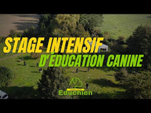Charger et lire la vidéo dans la visionneuse de la Galerie, Stage d'ÉDUCATION CANINE Format intense / Session du samedi 28 mars 2026
