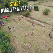 Charger l'image dans la galerie, Sport canin Agility Stage d'initiation à l'Agility Alexis bonnarang Educhien78 educhien formation education canine Dressage activité canine Dog training chien chiot stage canin comportementaliste club canin de la plaine de jouars Yvelines île-de-france 78