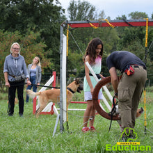 Charger l&#39;image dans la galerie, Stage d&#39;agility Educhien formation educhien78 education canine educateur canin jouars-pontchartrain yvelines 78 île-de-france club canin de la plaine de jouars dog training AGILITY sport canin stage &amp; formation Alexis Bonnarang éducateur canin comportementaliste France
