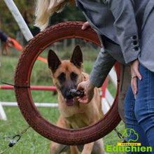 Charger l&#39;image dans la galerie, Stage d&#39;agility Educhien formation educhien78 education canine educateur canin jouars-pontchartrain yvelines 78 île-de-france club canin de la plaine de jouars dog training AGILITY sport canin stage &amp; formation Alexis Bonnarang éducateur canin comportementaliste France
