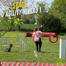 Charger l'image dans la galerie, Découvrez l’Agility avec Educhien – Club Canin de la Plaine de Jouars : une activité sportive et éducative permettant au chien et à son propriétaire de développer complicité, concentration et confiance à travers le franchissement d’obstacles et l’apprentissage de parcours adaptés à tous les niveaux.

