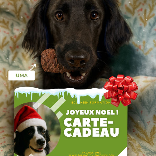 CARTE CADEAU EDUCHIEN FORMATION VALABLE SUR NOS STAGES ET FORMATIONS ET SUR L'INTÉGRALITÉ DE LA BOUTIQUE EN LIGNE 