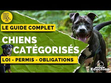 Charger et lire la vidéo dans la visionneuse de la Galerie, Formation d’aptitude à la détention d’un chien de 1ère et 2ème catégorie / Jeudi 11 juin 2026
