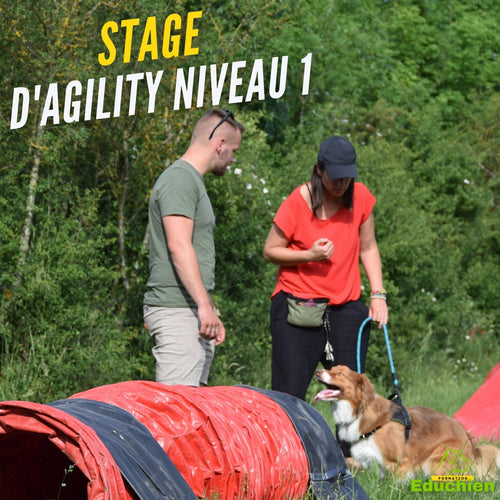 Sport canin Agility Stage d'initiation à l'Agility Alexis bonnarang Educhien78 educhien formation education canine Dressage activité canine Dog training chien chiot stage canin comportementaliste club canin de la plaine de jouars Yvelines île-de-france 78