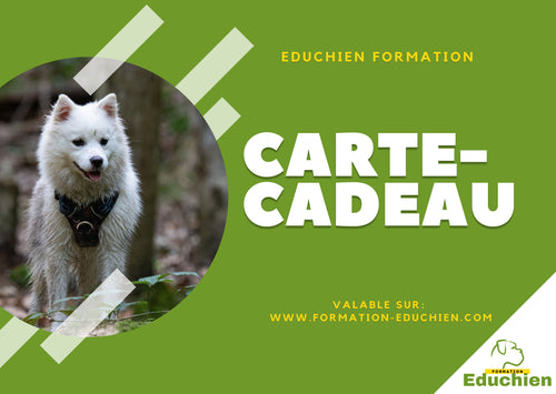 carte cadeau EDUCHIEN FORMATION educhien78 education canine formation canine devenir educateur canin dressage chien formation chiot noel anniversaire cadeau gift
